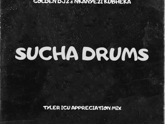 Golden Djz & Nkanyezi Kubheka - Sucha Drums (Tyler Icu Appreciation Mix)