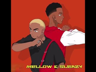 Mellow & Sleazy – Saka Original Mix Ft. Vigro Deep